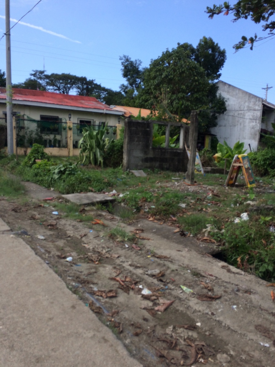 Balamban