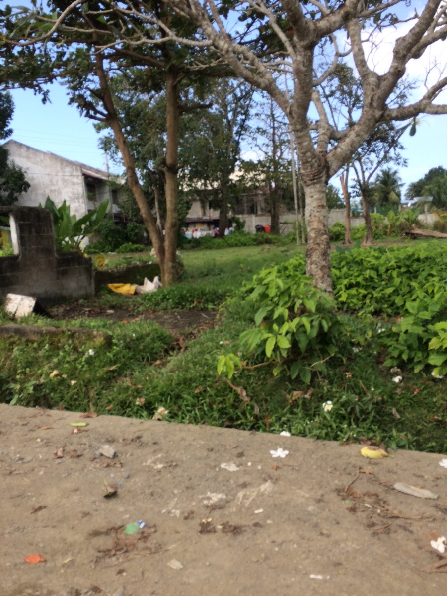 Balamban
