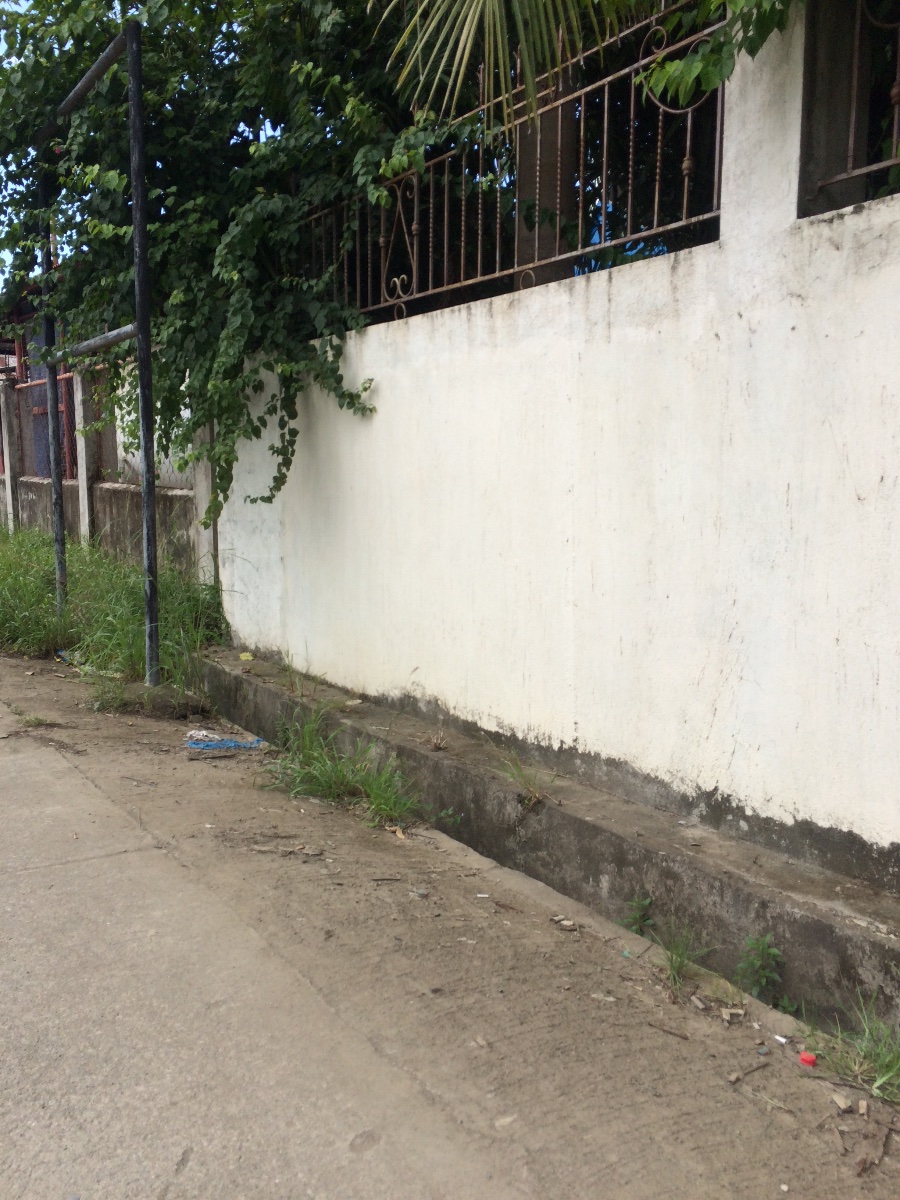 Balamban