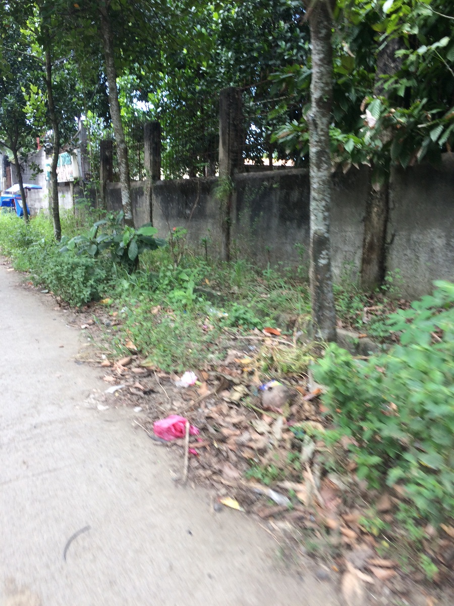 Balamban