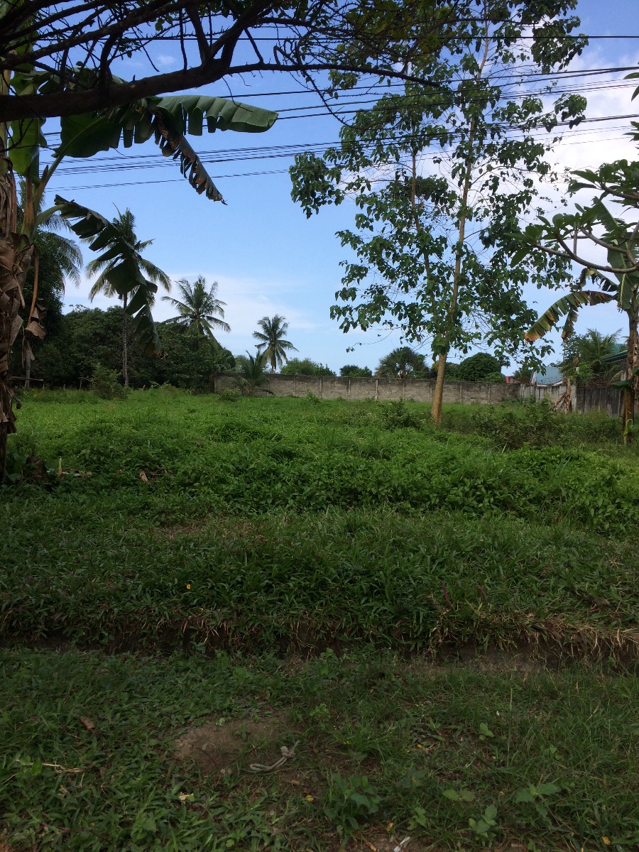 Balamban