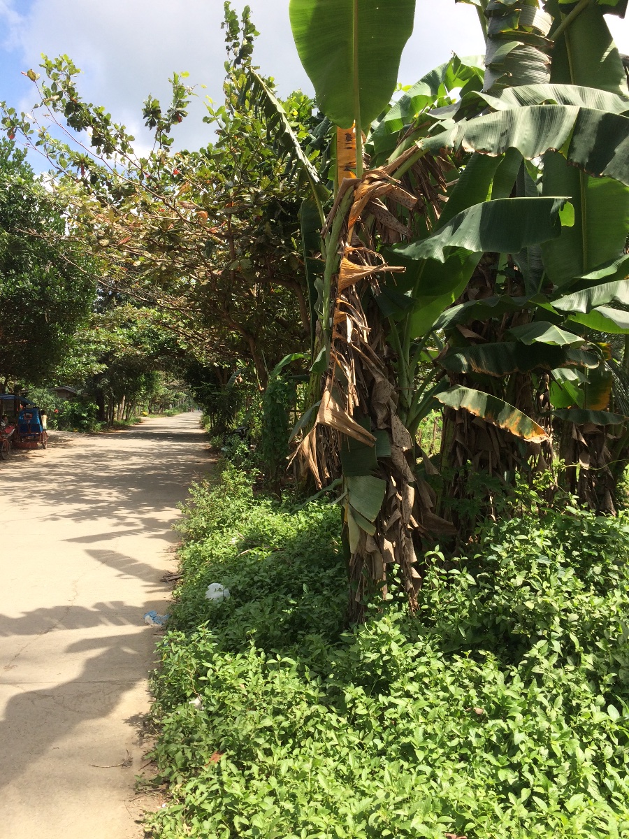 Balamban