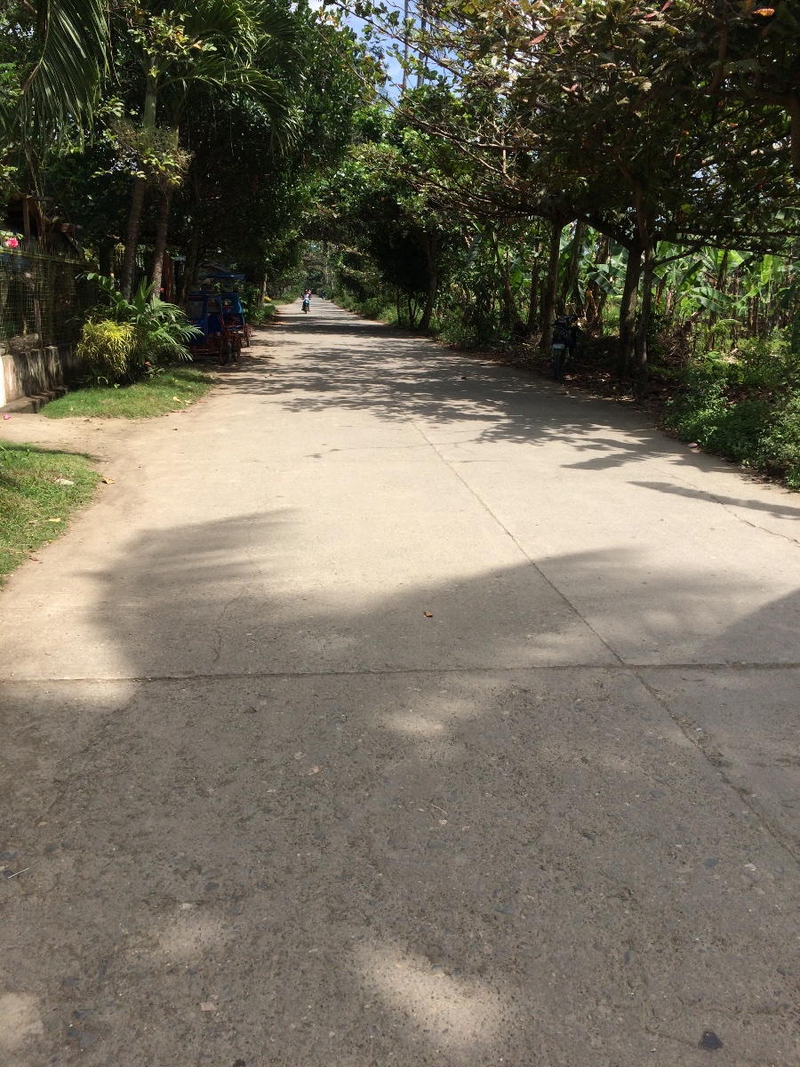 Balamban