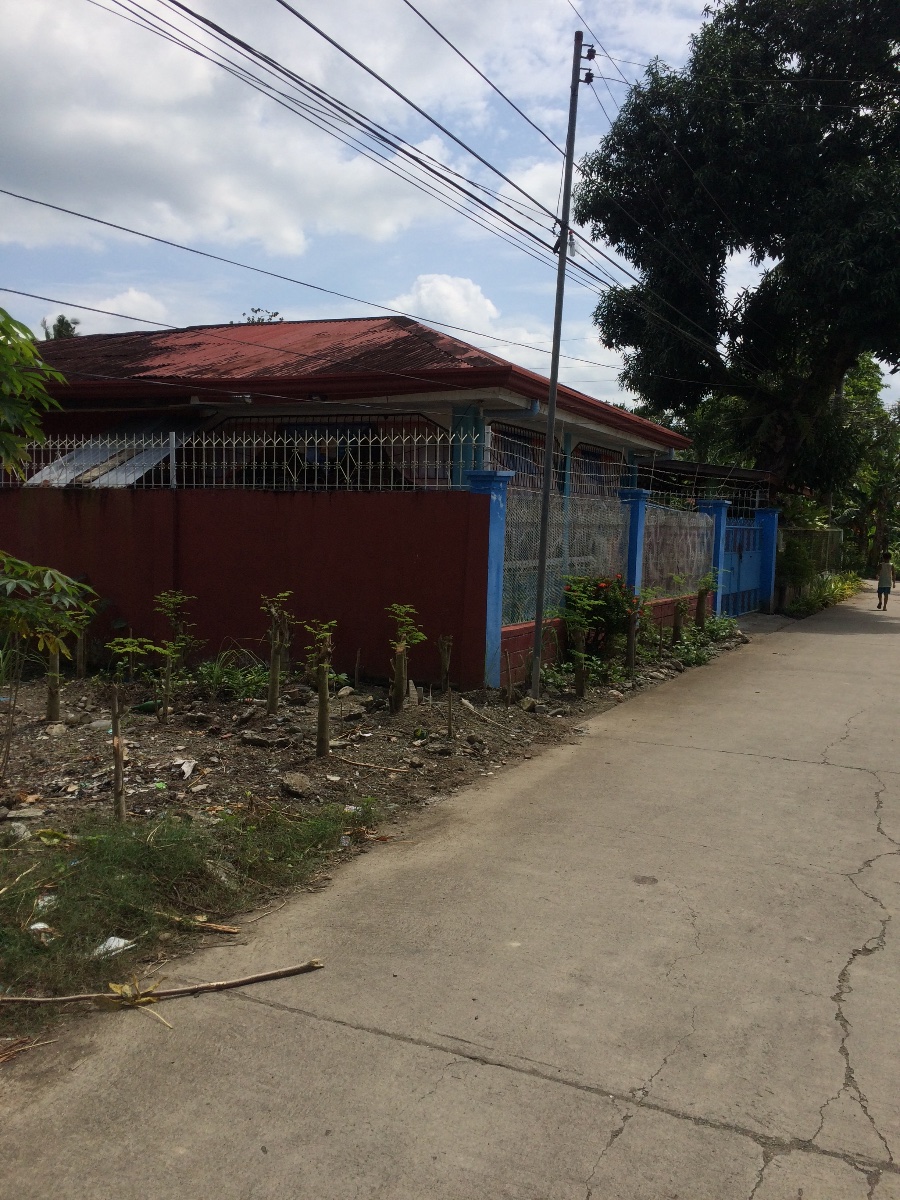 Balamban