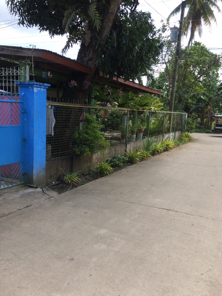 Balamban