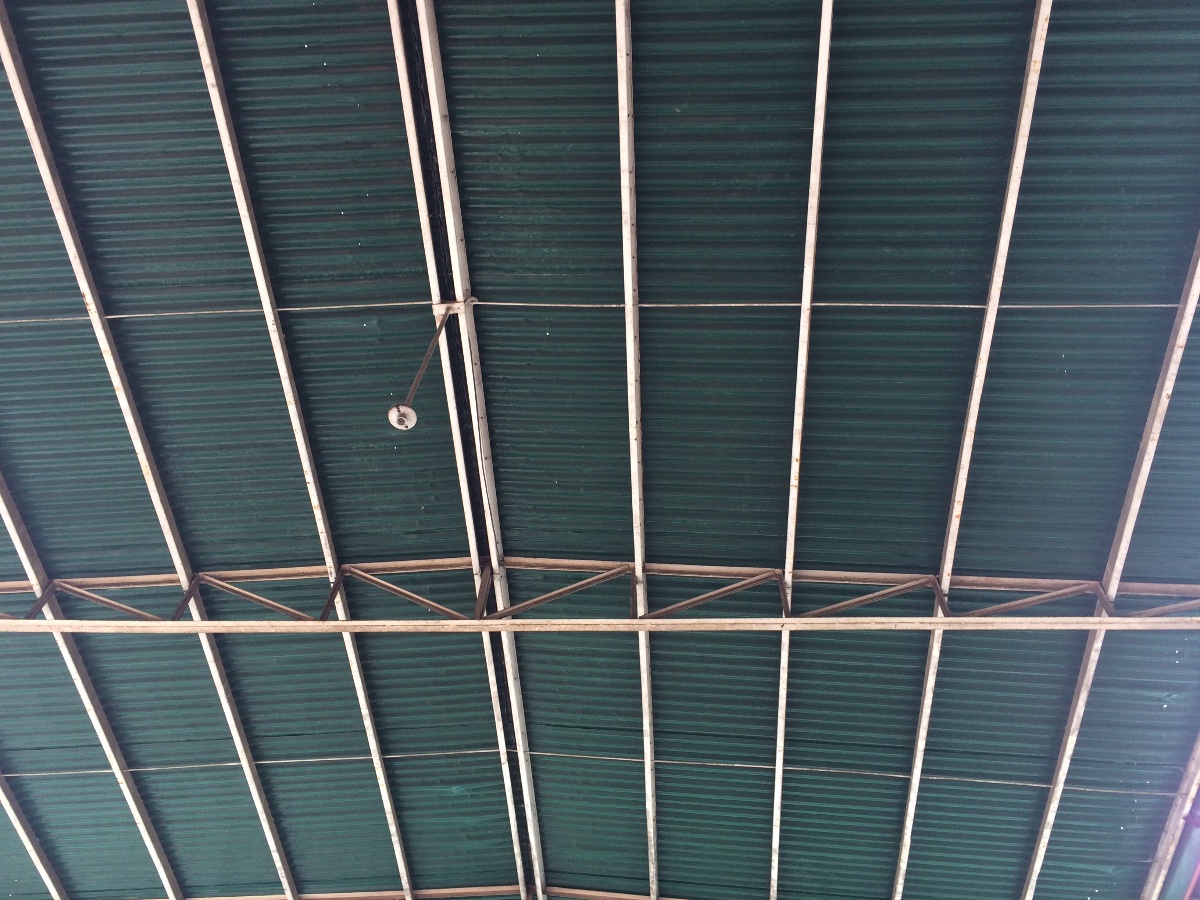 Roof