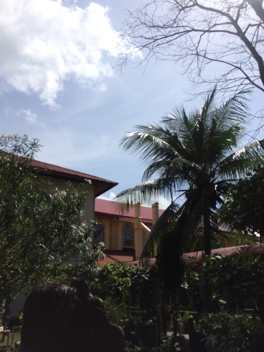 School