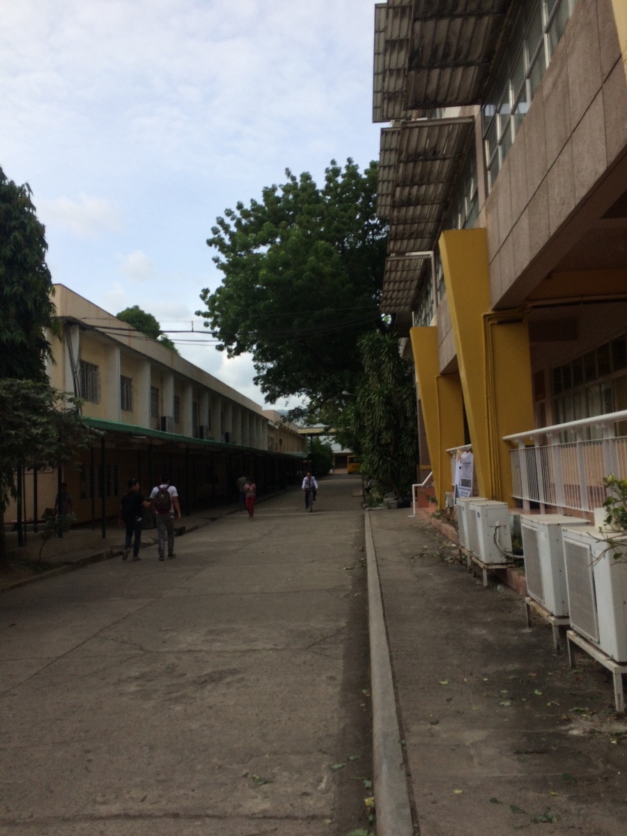 School