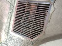 Drainage