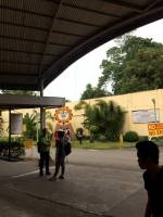 School