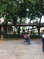 School