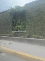 Wall