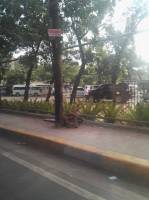 Road