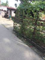 Street