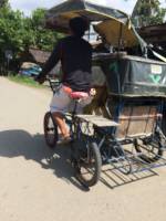 Balamban