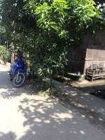Balamban