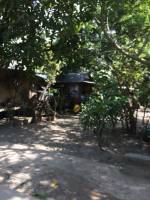 Balamban