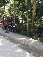 Balamban