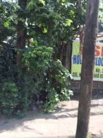 Balamban