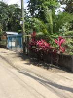 Balamban