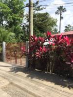 Balamban