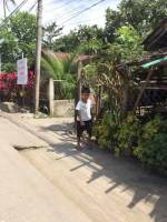 Balamban