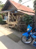 Balamban