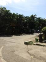 Balamban