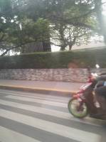 Pedestrian