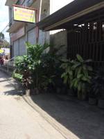 Balamban