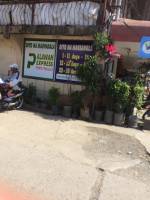 Balamban