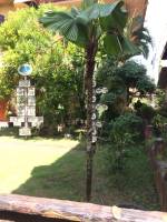 School