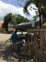 Balamban