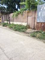 Balamban