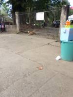 Balamban
