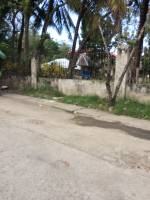 Balamban