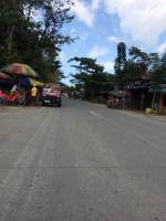 Balamban