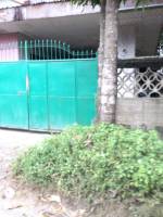 Balamban