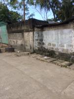 Balamban