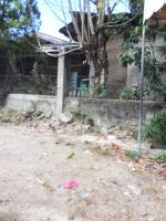 Balamban