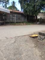 Balamban