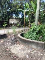 Balamban