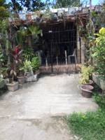 Balamban