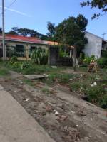 Balamban