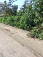 Balamban
