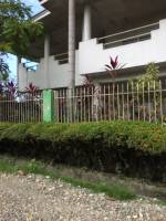 Balamban