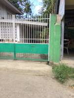 Balamban