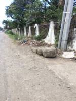 Balamban