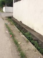 Balamban