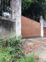 Balamban